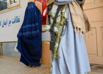 Potential Pathways towards Gender Aparthied