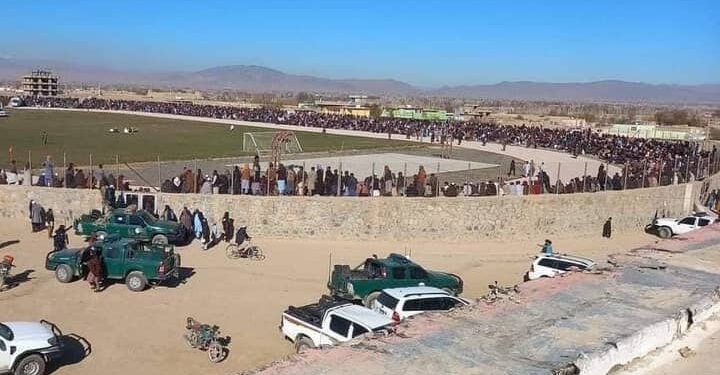 طالبانو ۱۱ تنه، چې یوه ښځه هم په کې شامله ده، په بېلابېلو ولایتونو کې دورې وهلي دي