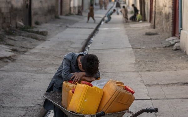 د امریکا راپور: د زدهکړو محرومې نجونې د اجباري ودونو له جدي خطر سره مخ دي