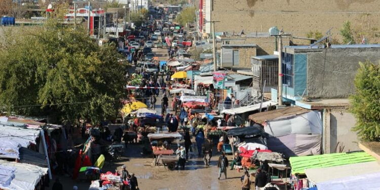 افراد مسلح در سرپل یک زن را کشتند و یک زن دیگر را زخمی کردند