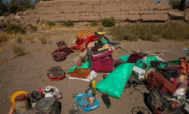 با گذشت چهار روز از وقوع زمین‌لرزه در هرات؛ بحران مدیریت در امدادرسانی وجود ندارد