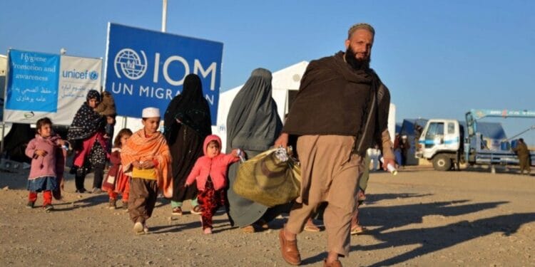 سازمان ملل: تنها ۱۴ درصد از خانواده‌های مهاجر برگشته به خدمات آموزشی دسترسی دارند