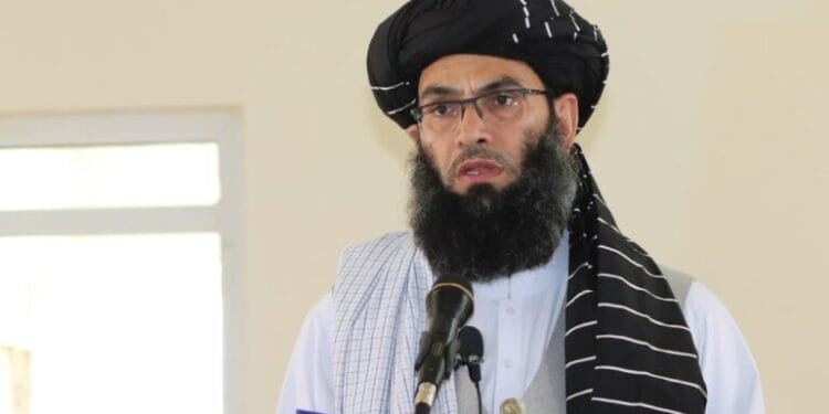 تناقض در گفتار و کردار؛ رییس امر به معروف طالبان دست‌درازی به حریم خصوصی را ممنوع اعلام کرد