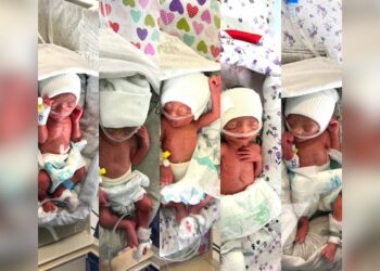 زنی در کابل پنج‌گانگی به دنیا آورد