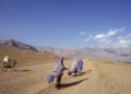 روز جهانی مبارزه با قاچاق انسان: «زنان افغانستان به بردگی و ازدواج اجباری کشانده میشوند»