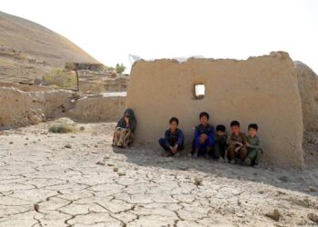 سازمان ملل می‌گوید که چالش‌های اقلیمی را به فرصت تبدیل کرده است