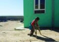 سازمان جهانی بهداشت: ۳۶ مورد فلج کودکان در افغانستان ثبت شده است